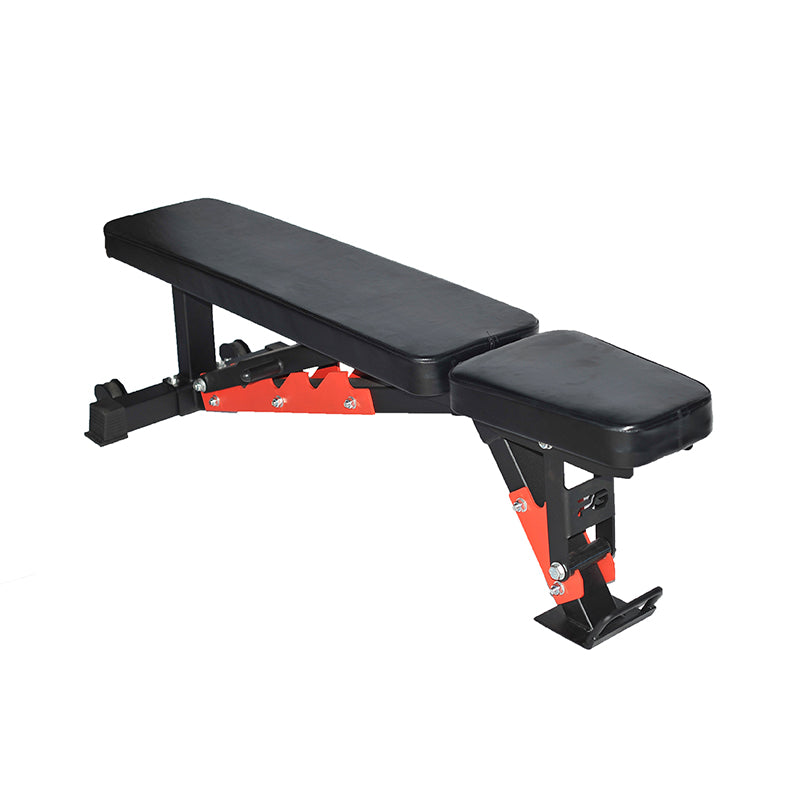 LAB 1 Adjustable Bench