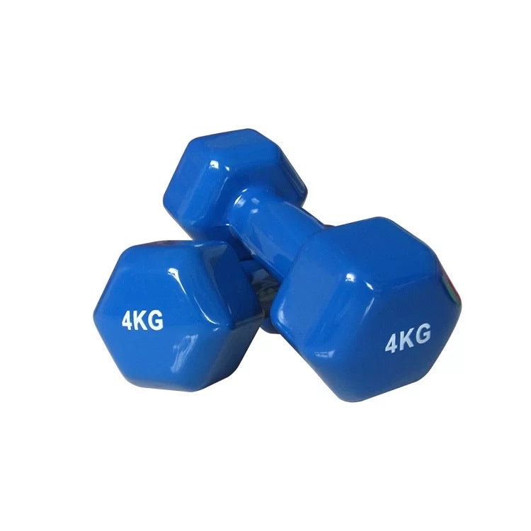 Hex Vinyl Dumbbells