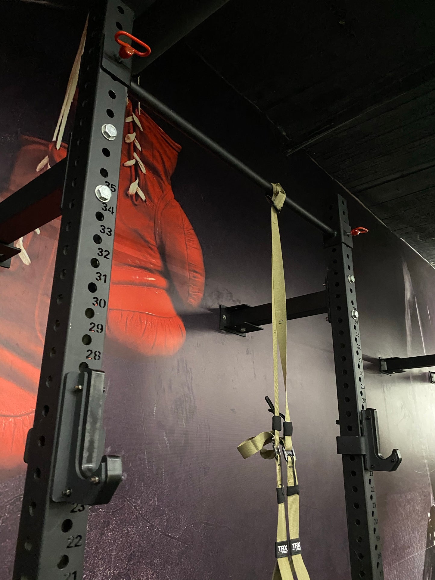 Progear F1-Foldable Squat Rack